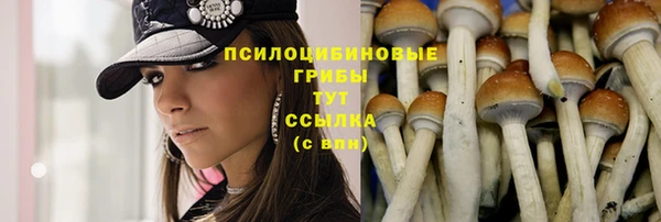 метадон Надым